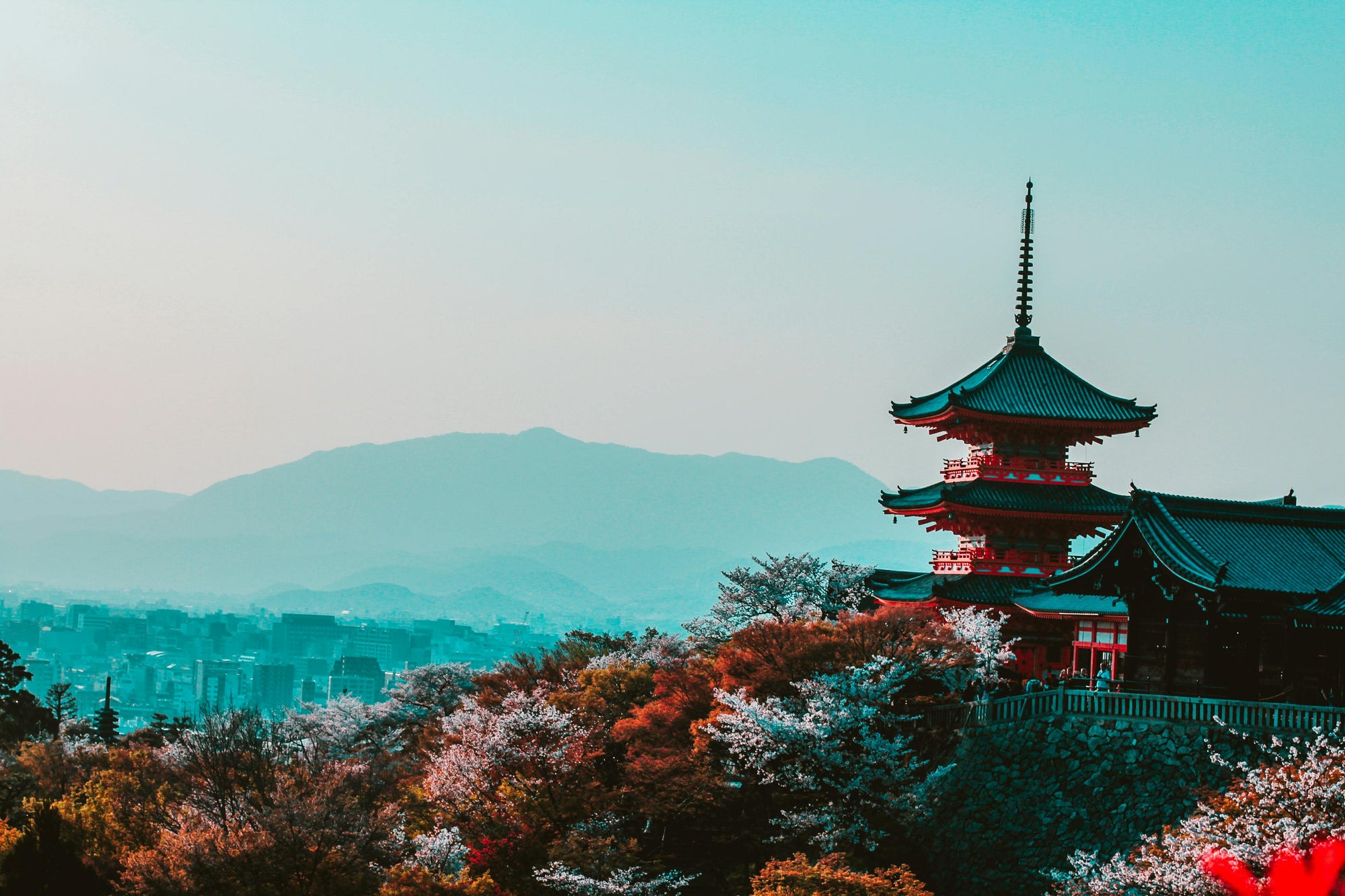 Japón 2025 – Tokyo, Kioto y Osaka