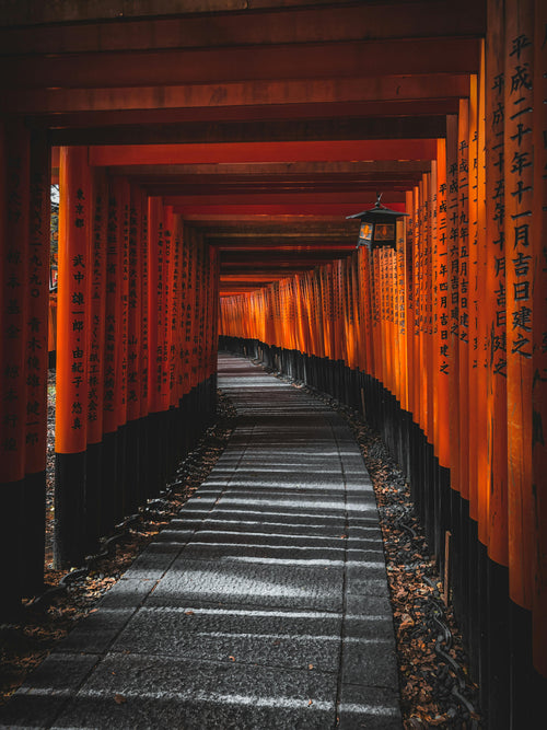 Japón 2025 – Tokyo, Kioto y Osaka